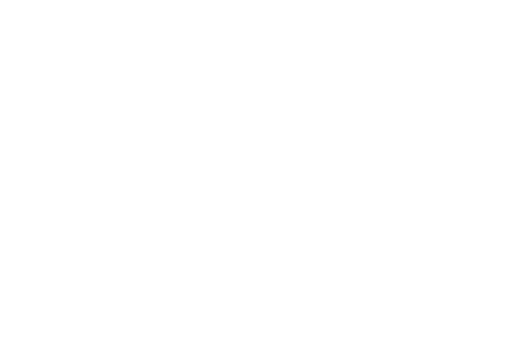 Scepter Inc.